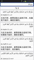 Quran - 中国语文 تصوير الشاشة 3