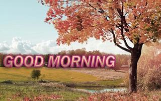 Good Morning HD Images Ekran Görüntüsü 3