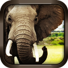 Angry Wild Elephant Simulator icône