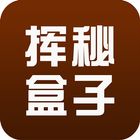 挥秘盒子 icon