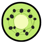 Kiwi Network icône