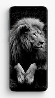 Lion Wallpapers plakat