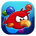 Happy Bird