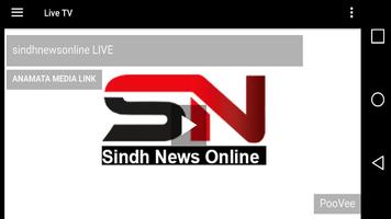 sindh news online tv скриншот 1