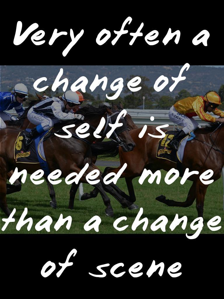 Horse Racing Quotes Betting APK per Android Download