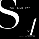 Singularity Mag APK