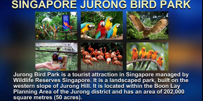 singapore maps with tourist attractions apk