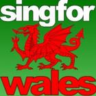 Sing For Wales | Welsh Anthem icon
