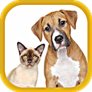 Animal Sounds APK