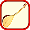 Virtual Saz Playing