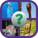 Animal Quiz Game APK