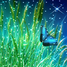 Butterfly Live Wallpaper icône