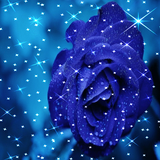 Sparkle Rose Live Wallpaper icône