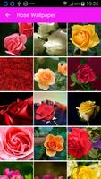 Rose Wallpaper plakat