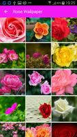 Rose Wallpaper اسکرین شاٹ 1