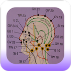 Icona Acupressure