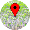 พิกัดนา APK
