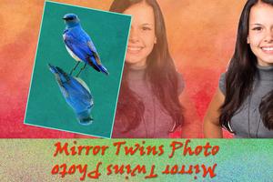 Mirror Twins Photo Collage capture d'écran 1
