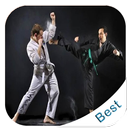 Meilleure stratégie de Wing Chun APK