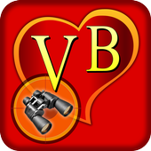 Valentine Virtual Binocular icon