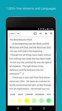 Bible