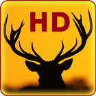 Deer Live Wallpapers иконка