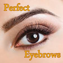 Perfect Eyebrows APK