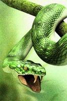 How To Draw Snake Animals captura de pantalla 1