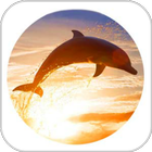 How To Draw Dolphins أيقونة