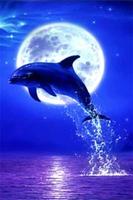 How To Draw Dolphins syot layar 1