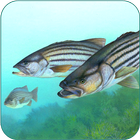 Fishing Fanatic - Fishing App  圖標