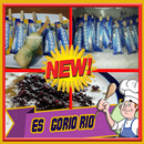 Resep Es Goriorio APK