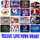 Telugu Live TV icône