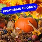 Осень Обои HD 4K Autumn Wallpapers иконка