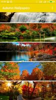 Осень Обои HD 4K Autumn Wallpapers скриншот 3