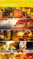 Осень Обои HD 4K Autumn Wallpapers постер