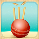Beach Cricket APK