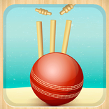 Beach Cricket