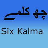 6 kalmy