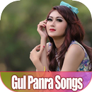 Gul Panra Songs - MP3 APK