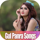 Gul Panra Songs - MP3 icône