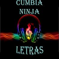 Cumbia Ninja Letras Ekran Görüntüsü 1