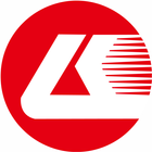 L.K. Group-icoon