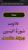Listen Surah Yaseen Mp3 Audio screenshot 2