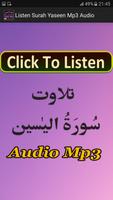 Listen Surah Yaseen Mp3 Audio screenshot 3