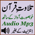 Quran Tilawat Audio Mp3 Free icône
