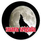 Suara Srigala - Wolf Sound Mp3 icône