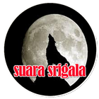 Suara Srigala - Wolf Sound Mp3 simgesi