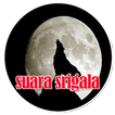 Suara Srigala - Wolf Sound Mp3