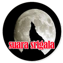 Suara Srigala - Wolf Sound Mp3 APK